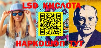 стаф Гатчина
