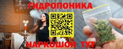 стаф Гатчина