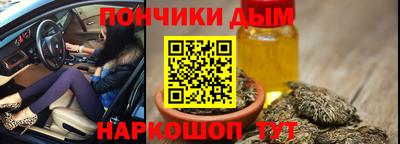 стаф Гатчина