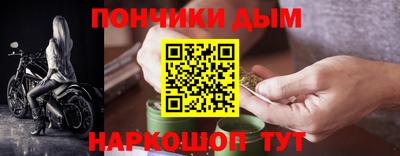 стаф Гатчина