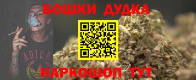 стаф Гатчина