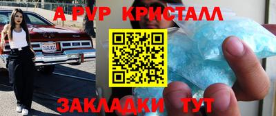 стаф Гатчина