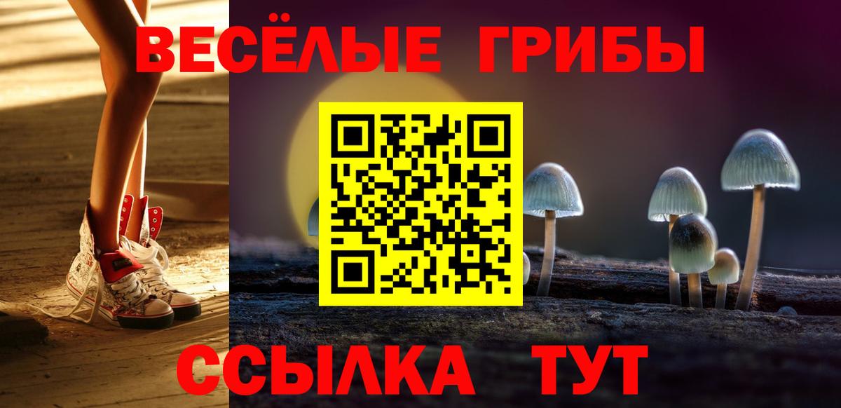 Псилоцибиновые грибы мухоморы  Вход с VPN  Псилоцибиновые грибы GOLDEN TEACHER  Набережные Челны 
