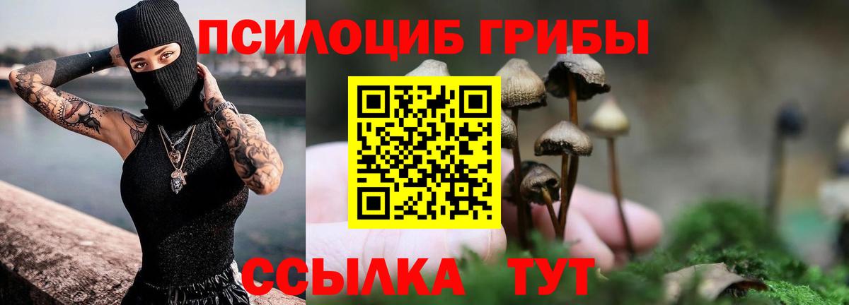 Псилоцибиновые грибы Psilocybe Набережные Челны
